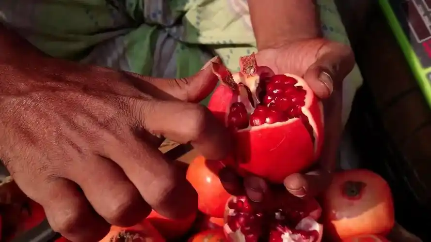 印度街头特色石榴,老板剥石榴手艺堪称精细,每粒果肉都很诱人!