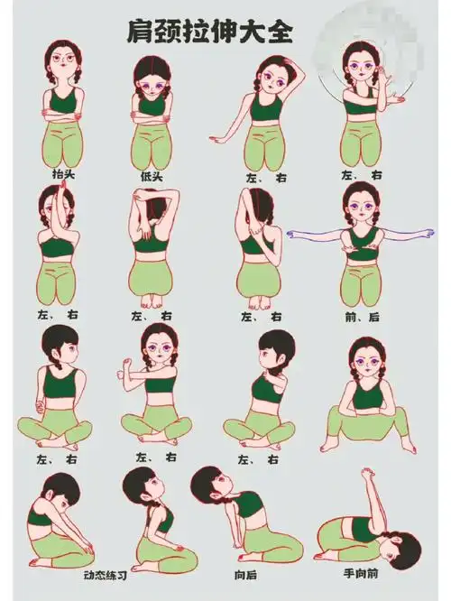 肩颈拉伸做起来