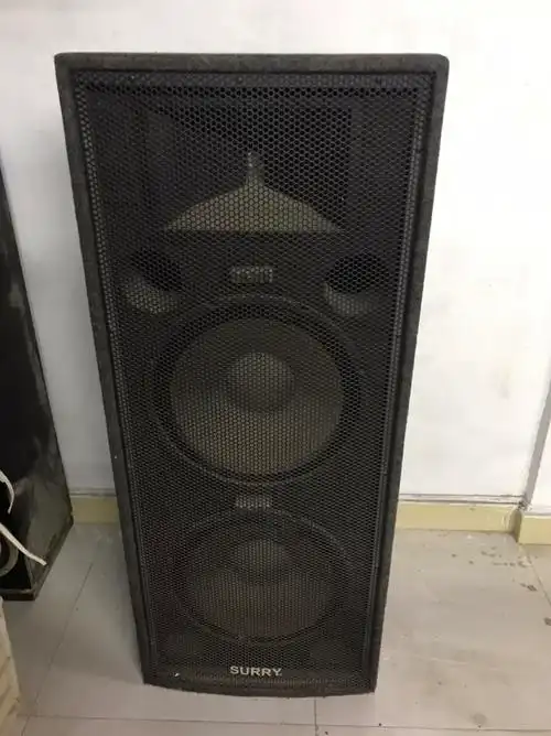 双15寸舞台音箱全新1500元对大润发东5