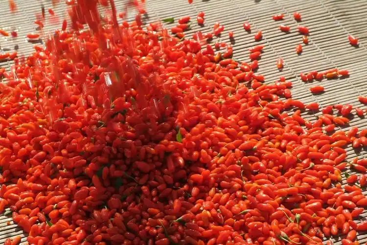 free shipping ,2013,high grade wolfberry ,goji,  medlar,1kg