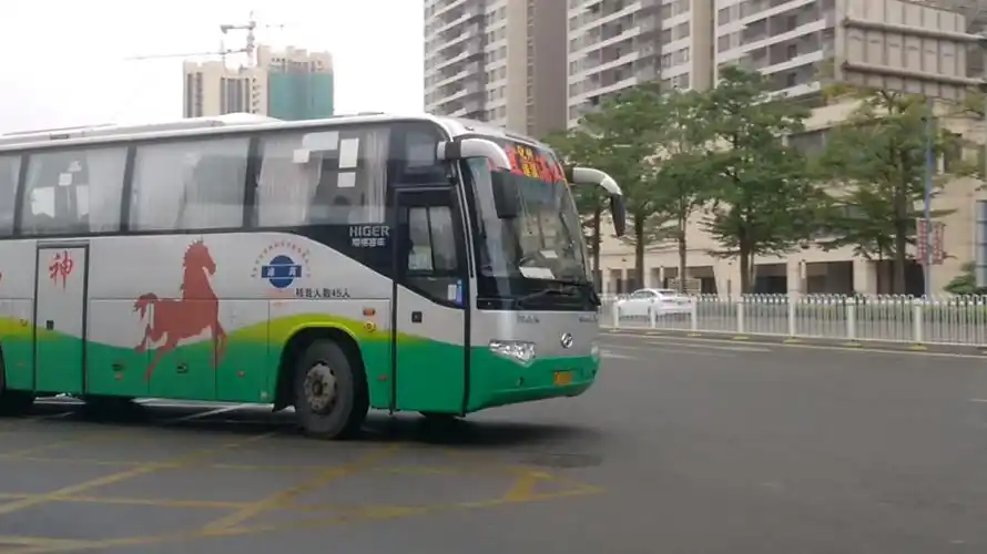 湛江到信宜海格汽车出湛江麻章车站