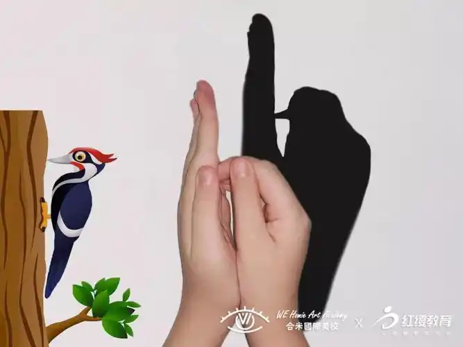 福利享不停你的专属家庭动物影院正在放映中