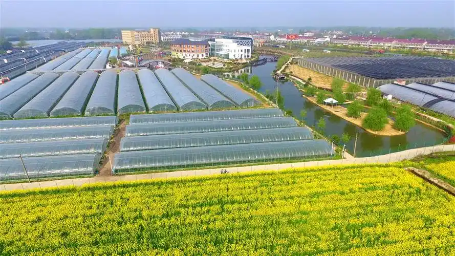 安徽鹏翔农业生态园带贫特色产业扶贫基地.