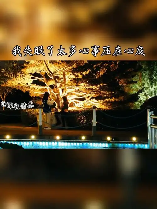 我失眠了,太多心事压在心里,想睡确睡不着,白天还好好的,一到晚上就