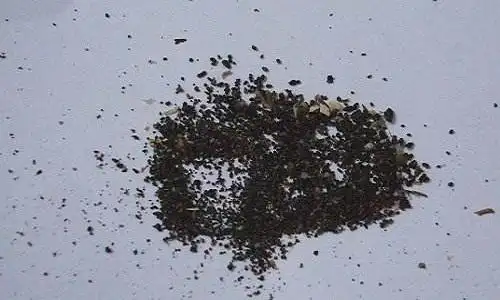 消灭蟑螂**的办法