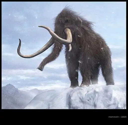 mammoth 由 不留手 创作 | leewiart 乐艺 建立你的个人艺术画廊,汇聚