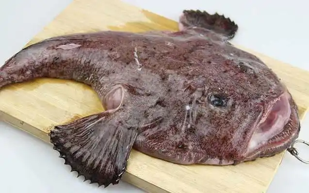 安康鱼价格多少钱一斤? - 百科 - 酷钓鱼