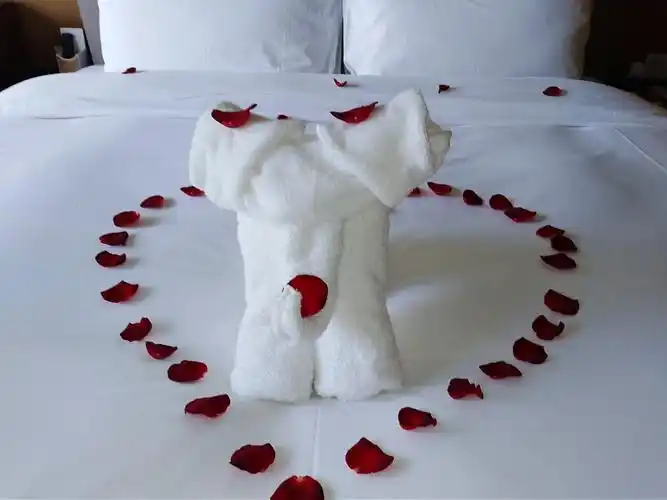 一进房间床上的一只毛巾折叠的小狗在欢迎我们,床上还有玫瑰花摆的