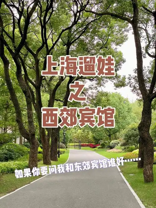 上海遛娃之西郊宾馆