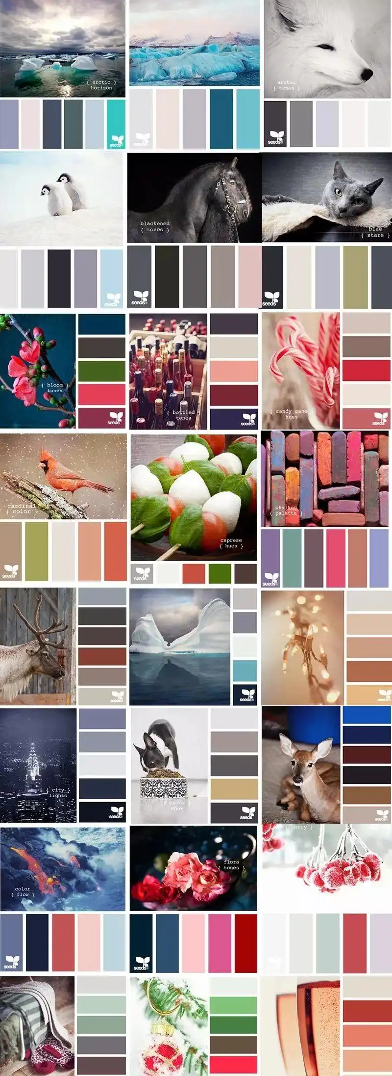 【设计提高班21】新手秒懂的色彩搭配技巧,5200张配色卡免费送给你