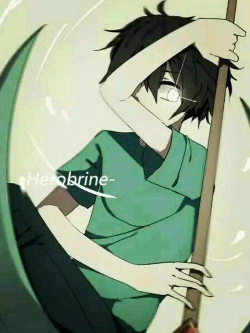 我的世界him的一生