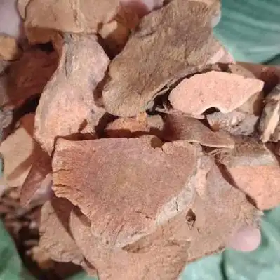 土茯苓价格行情