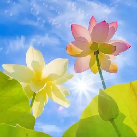 适合一辈子风景头像图片 高清值得一辈子不换的头像风景_风景微信头像