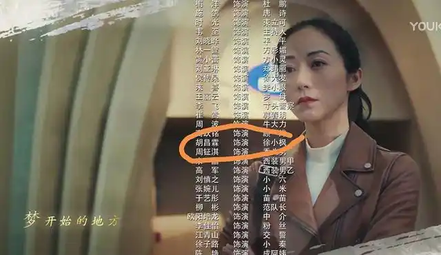 巡回检察组:打胡雪娥的小男孩是谁?演员表名单告诉你