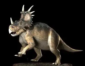 现代刺盾角龙3d模型下载