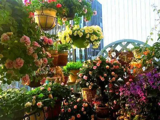 萌大叔巧用"2招",将1米阳台打造成小花园,这就是梦想中的阳台