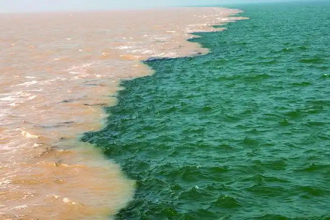 黄河入海口河海交汇黄蓝分明奇观