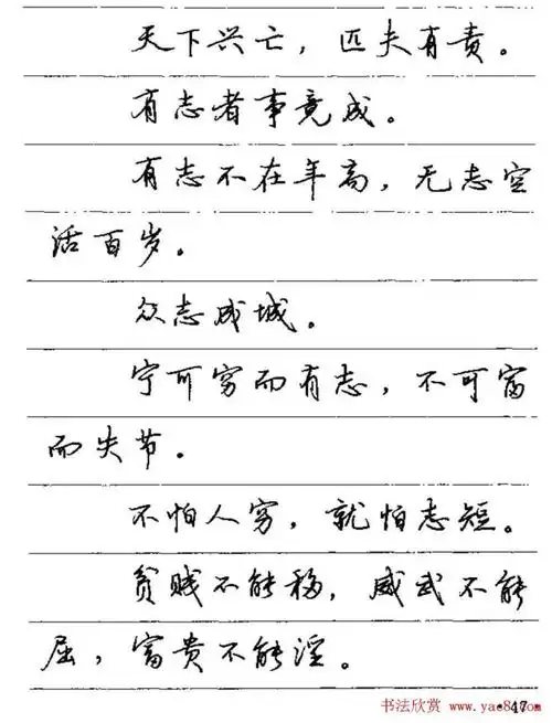 【硬笔字帖】卢中南硬笔行书字帖《谚语名句》