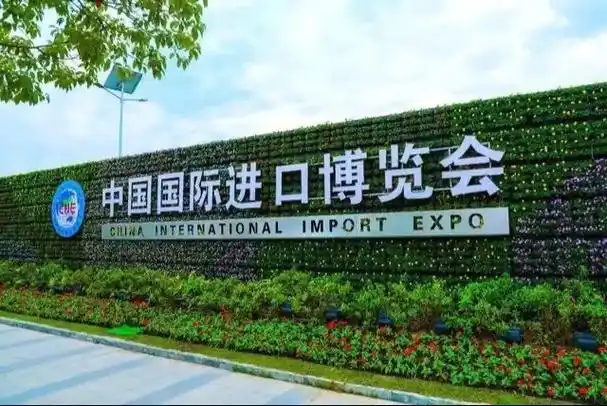 第六届中国国际进口博览会今日开幕!黄浦江畔,万商云集.形如" - 抖音