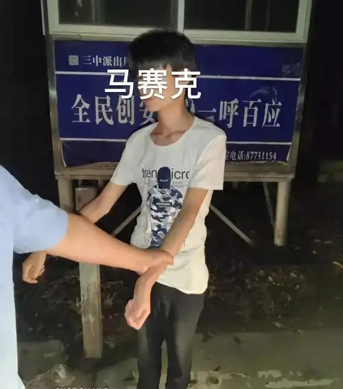 发现犯罪嫌疑人李某并将其抓获,根据其现场供述将藏匿的涉案手提包