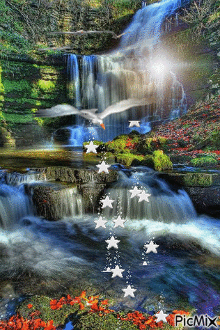 100张会动的照片,看一眼就入迷,太绝了!