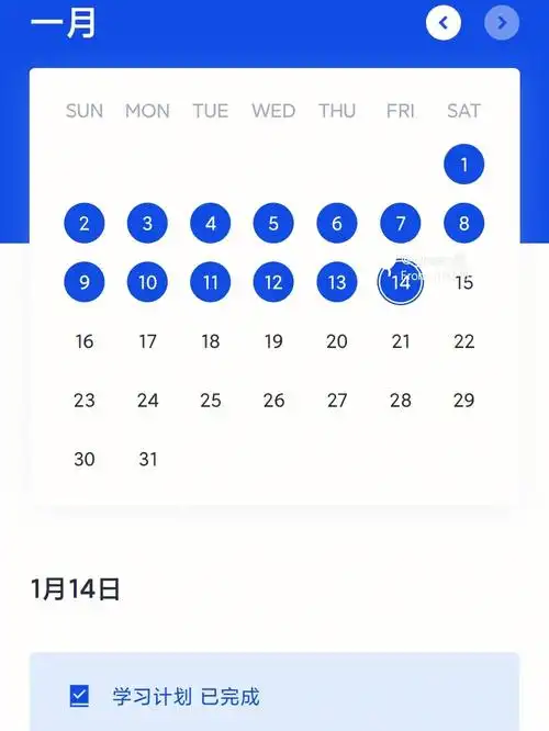 day140百词斩cet6单词打卡