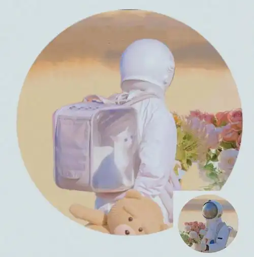 没找到两个都是宇航员的情侣头像只能自己拼了,凑合看吧"看见光 追随