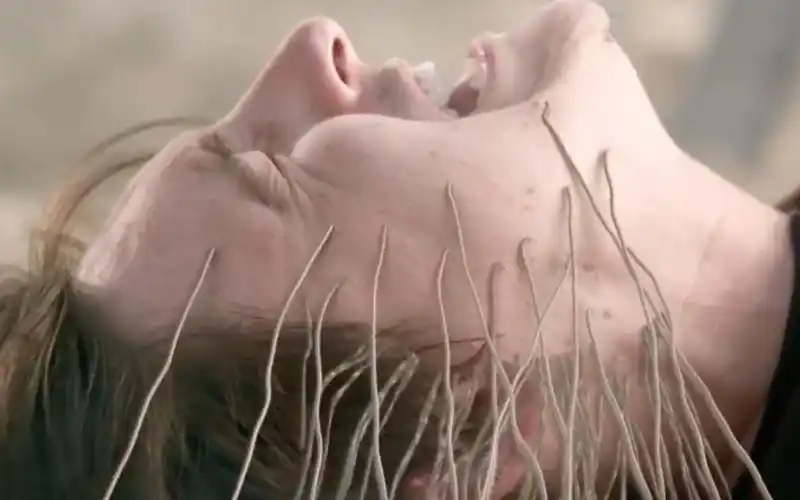 沙滩上的奇怪生物别乱捡,否则整个人连渣都不剩了,《沙子怪物》