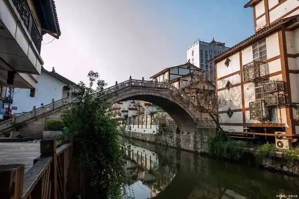 上海又一古镇"走红",门票免费,景色媲美乌镇西塘,你去过吗?