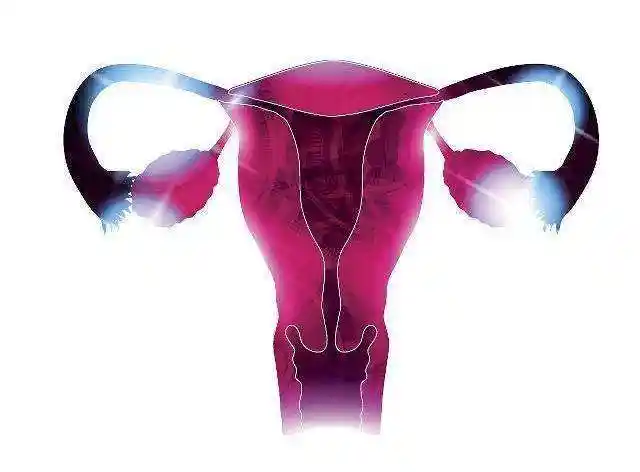 兴冲冲!宫颈闭锁怎么治疗效果好"时有落花至"-第1张图片-克子博客