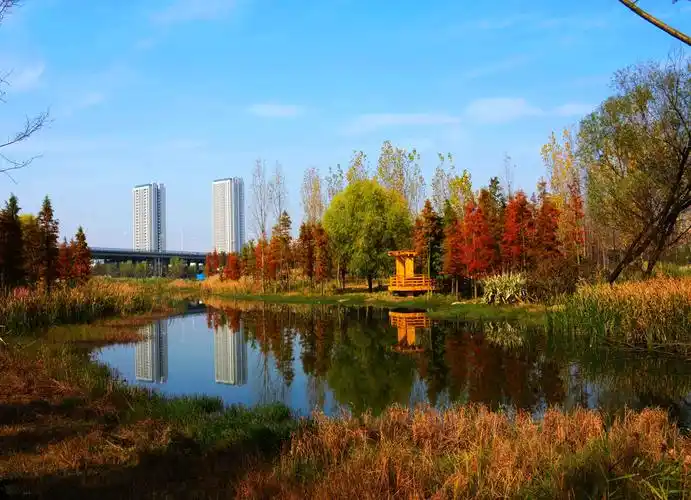 摄于襄阳月亮湾公园