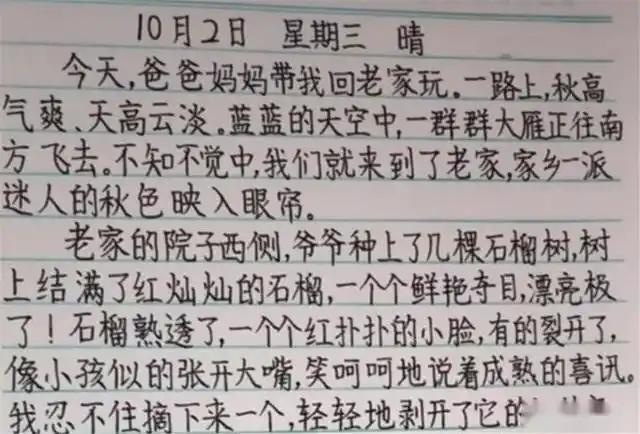 小学生作业被老师晒出来,工整如打印体,网友:我们班里也有一个