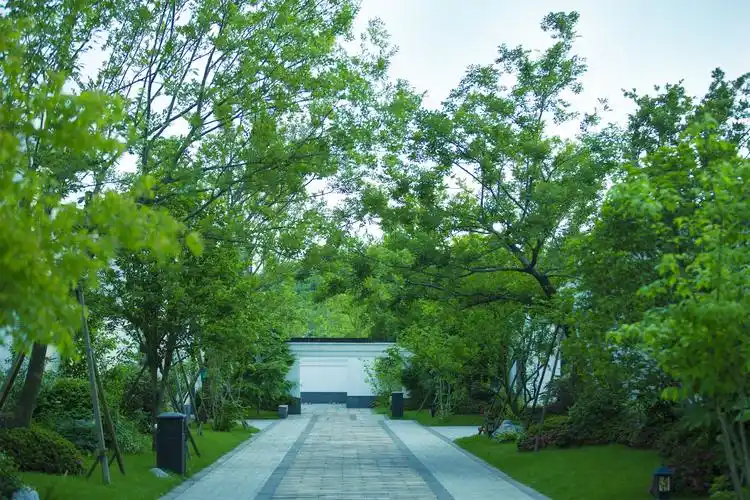 绿城安吉桃花源