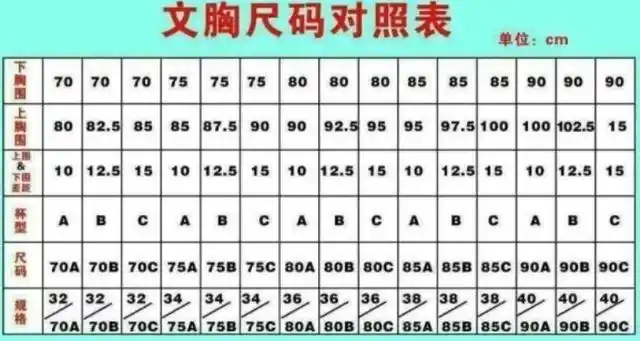 内衣80b是什么尺寸