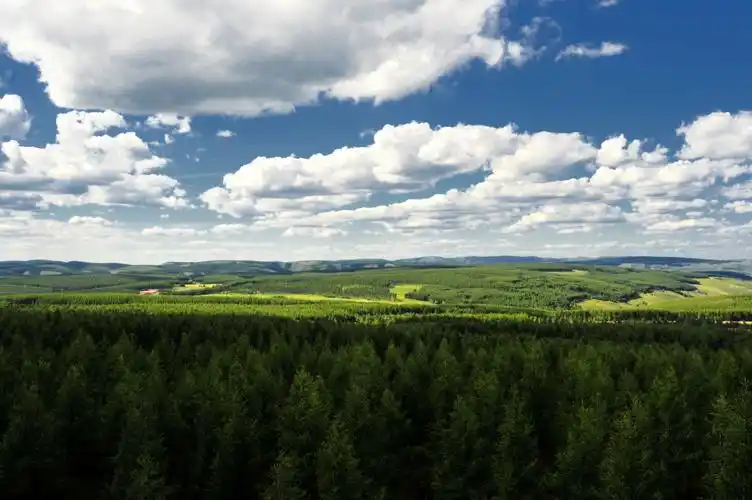 塞罕坝上说四季你会惊叹人类改造自然的力量