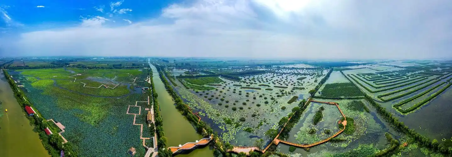 皖美微旅游|自驾风情淮河,感受皖北水乡一抹绿 - 文旅 - 安徽财经网