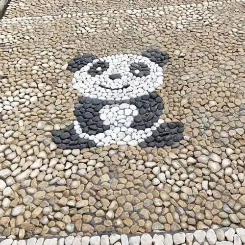 盛飞白石子价格园林铺路机制白色卵石