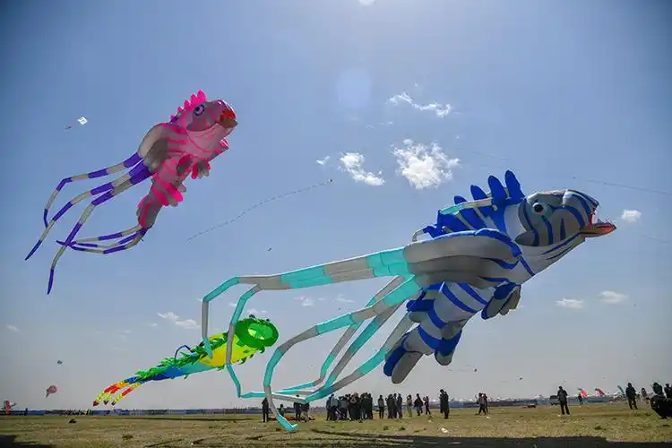 第38届潍坊国际风筝会放飞比赛举行