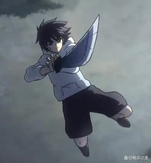 题记:本季《刺客伍六七》中"不死黑鸟"穿的是什么衣服,答对了,黑衣,也