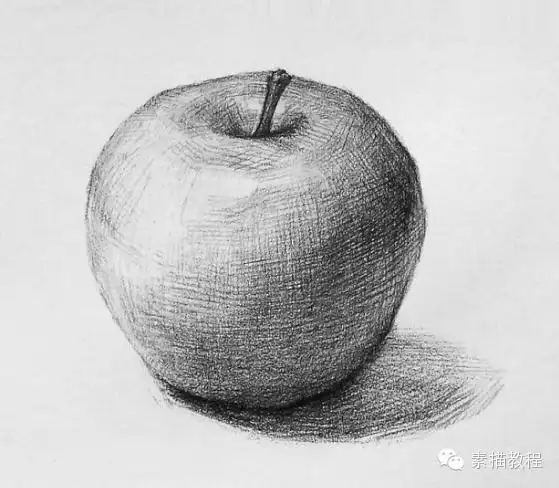 素描课件—静物苹果绘画步骤