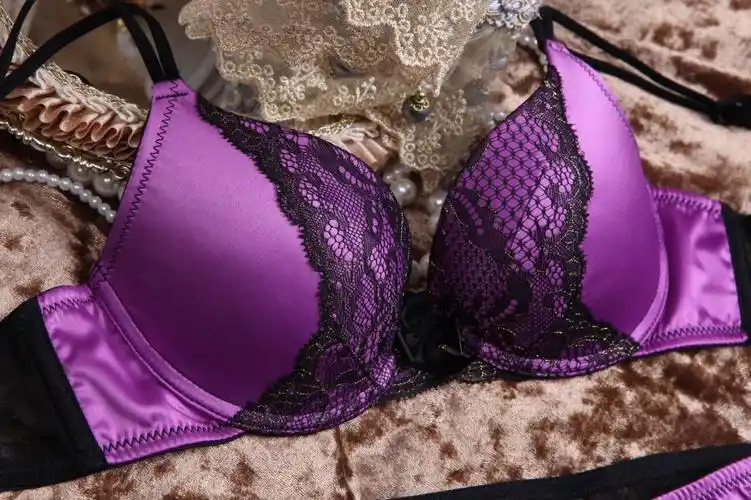 外贸原单欧美品牌内衣套装文胸批发紫色蝴蝶款1104