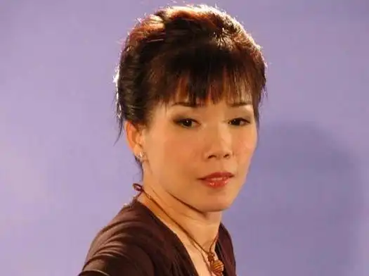 p>韩宝仪,1965年6月1日出生于台湾,中国台湾女歌手.