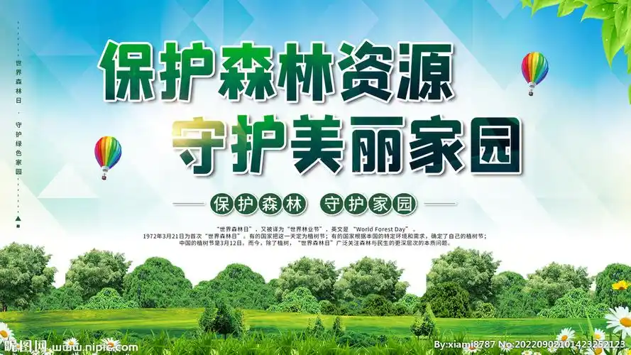 保护森林资源