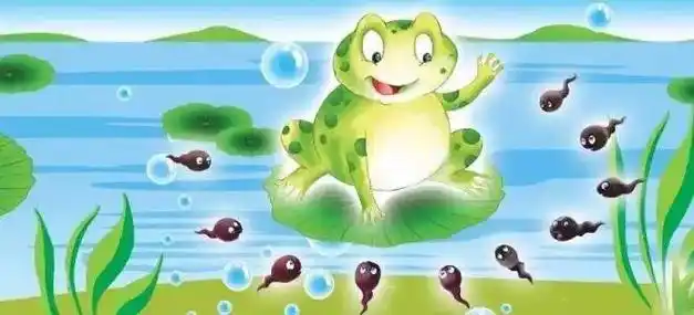 小蝌蚪找妈妈青蛙折纸