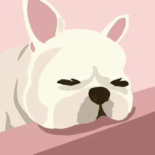 卡通法斗头像图片大全集