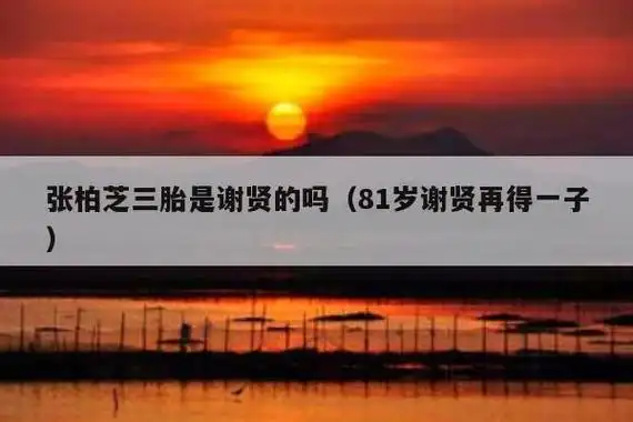 张柏芝三胎是谢贤的吗81岁谢贤再得一子