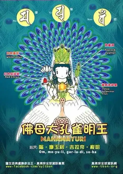 大佛母孔雀明王!
