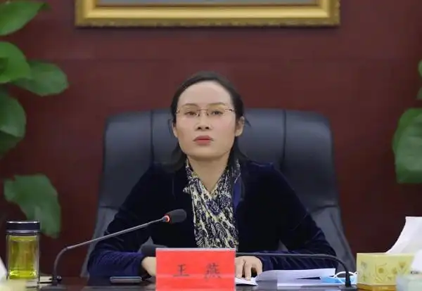 王燕主持召开区委常委会会议