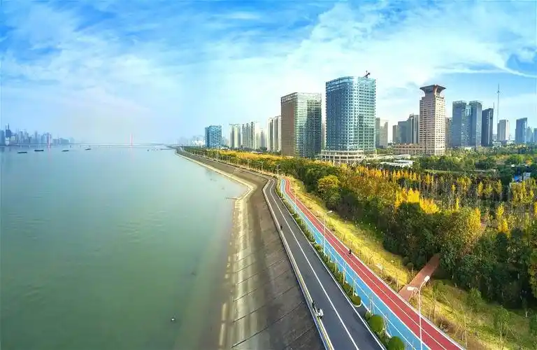 滨江"小块头"为何盛产"全球名企"!