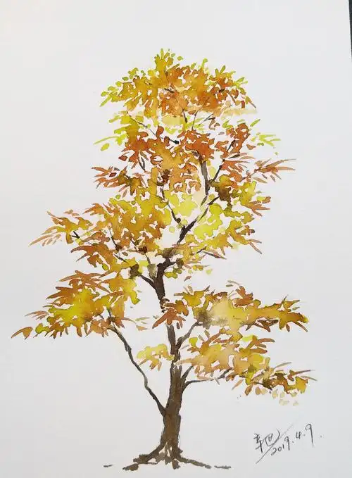 一组秋树手绘水彩大树